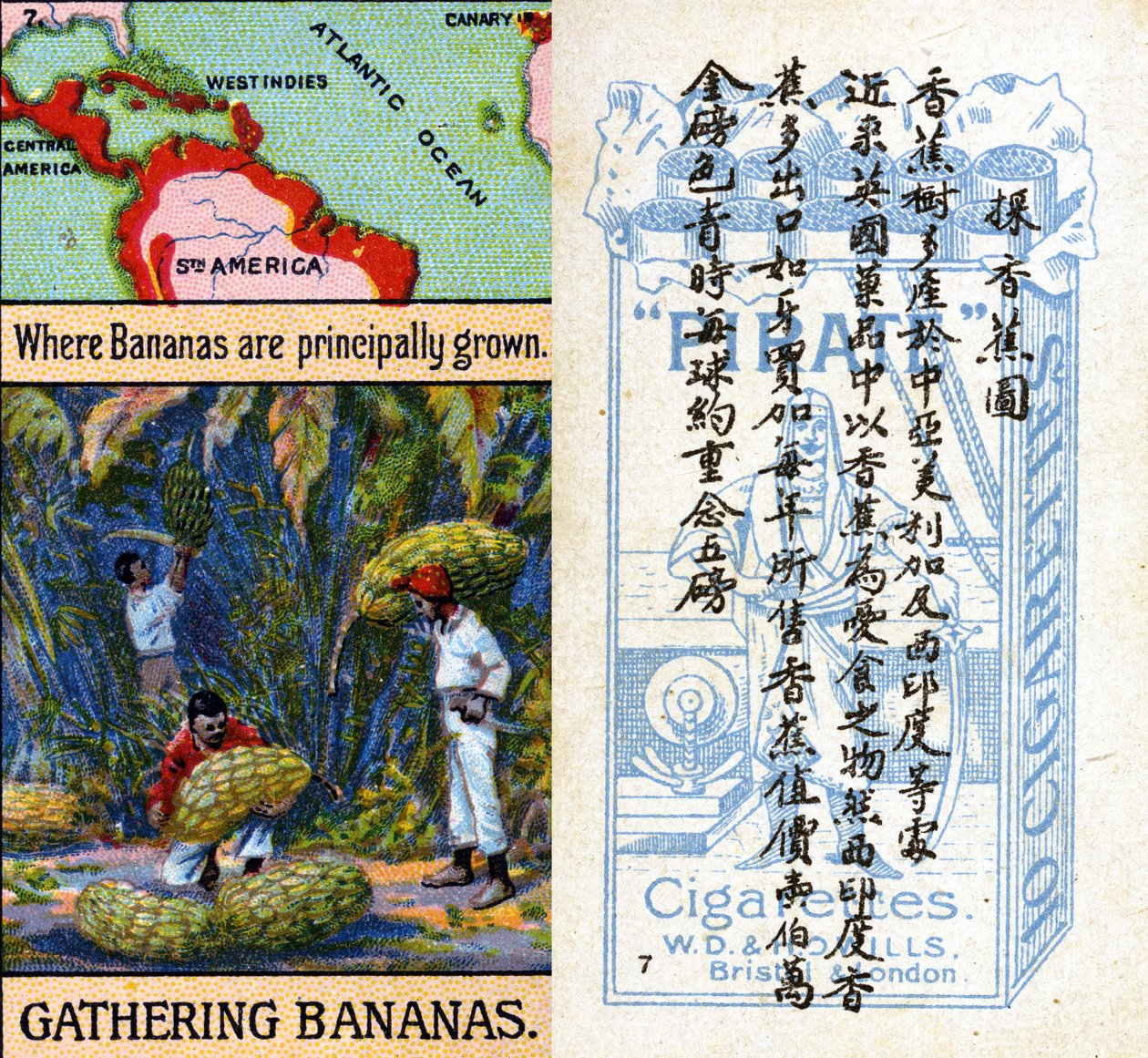 Principali aree di coltivazione delle banane, dalla serie di carte da sigaretta 