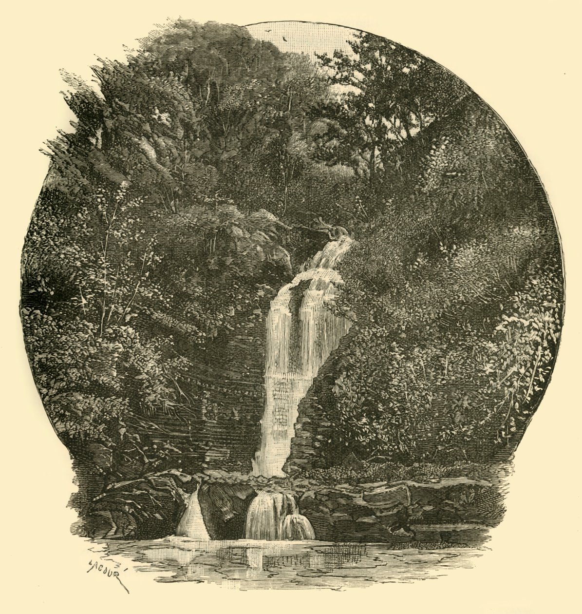 Cascate di Pyrddin, Valle di Neath da Unbekannt