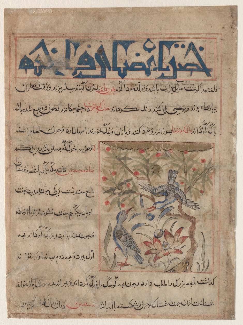 Qualità delle tortore recto, sui benefici delle quaglie verso..., c. 1300 da Unbekannt