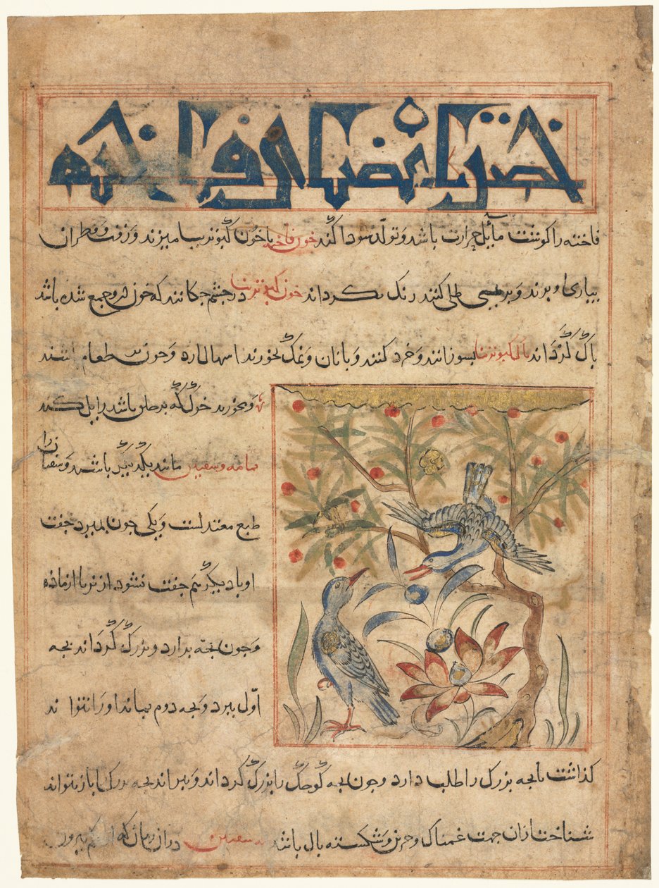 Qualità delle tortore, recto da Manafi al-Hayawan Sull