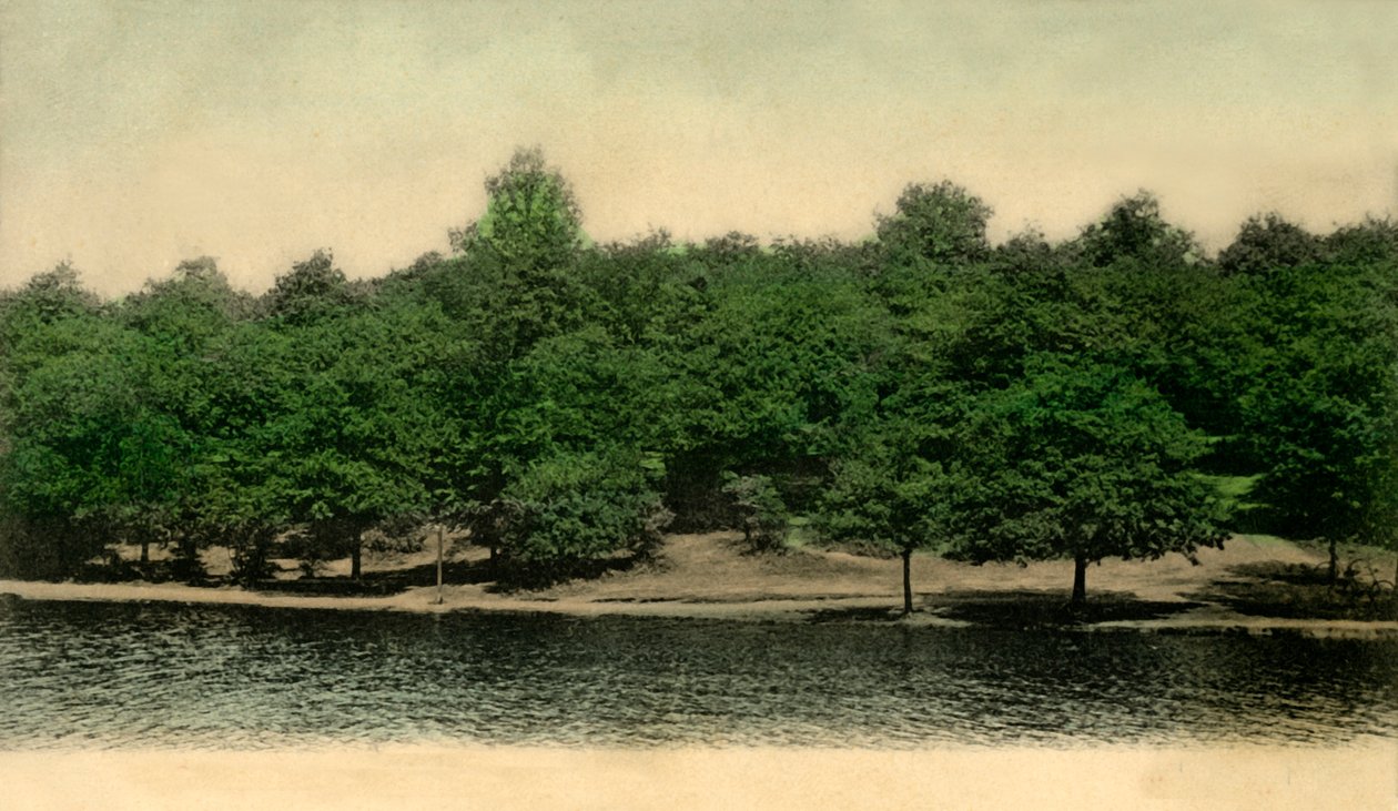 Queensmere, Wimbledon Common, Londra, 1903 da Unbekannt
