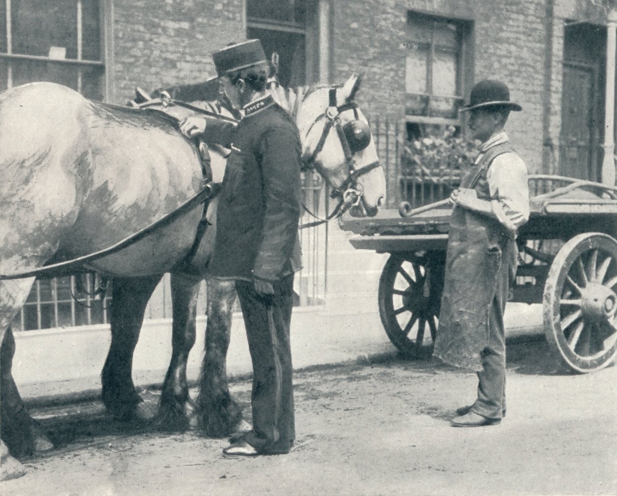 Ispettore RSPCA che esamina un cavallo, c1903 da Unbekannt
