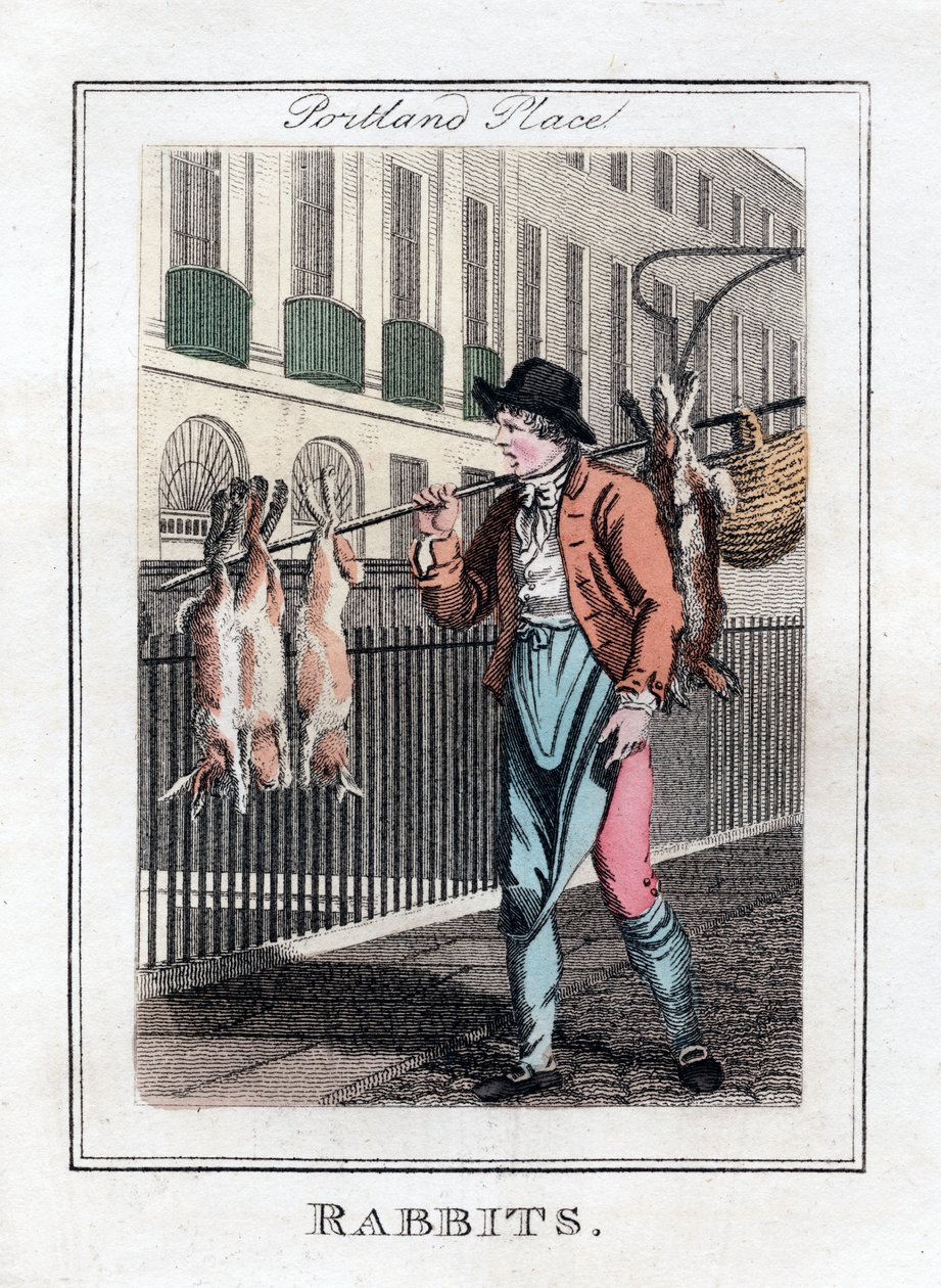 Conigli, Portland Place, Londra, 1805 da Unbekannt