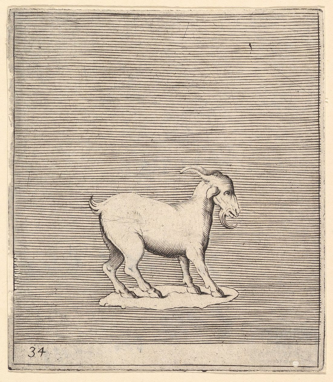Ariete, pubblicato ca. 1599-1622 da Unbekannt