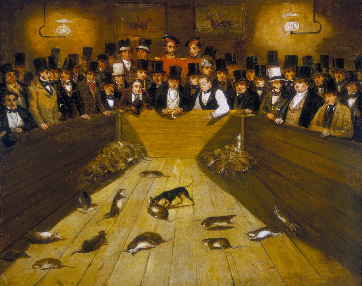 Cattura dei topi alla taverna Blue Anchor, Bunhill Row, Finsbury, c. 1850 da Unbekannt