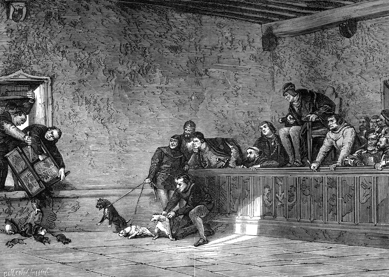 Combattimento di ratti, ricreazione di Luigi XI di Francia da Unbekannt