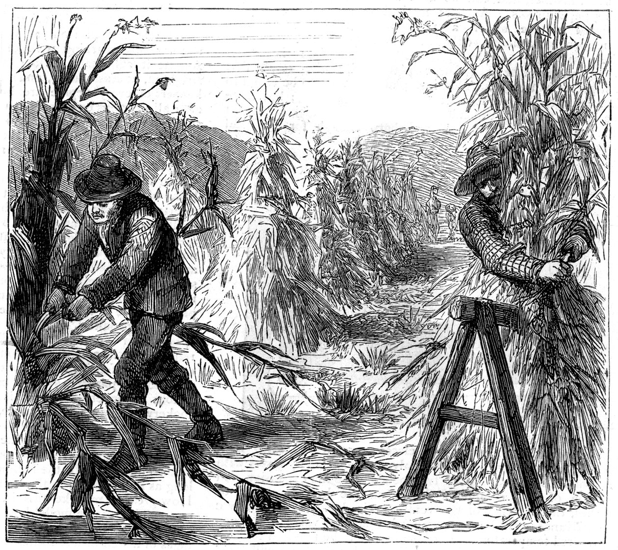 Mietitura e raccolta del grano per asciugare, Lago Drie, Canada, 1880 da Unbekannt