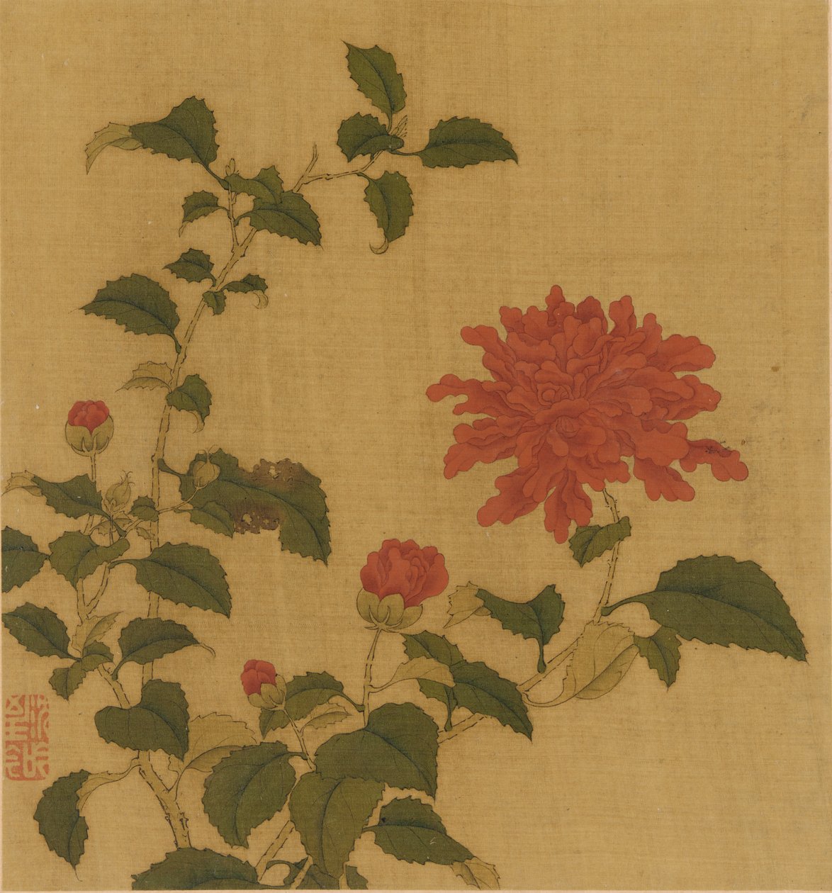 Peonia rossa, dinastia Qing da Unbekannt