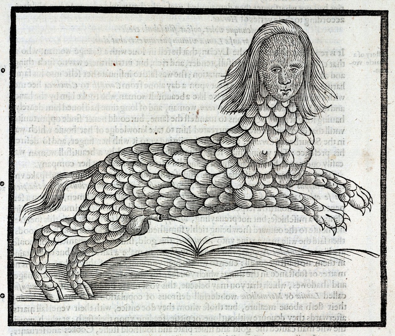 Rappresentazione della creatura Lamia (Sybaris) - Incisione tratta da "History of Four-Footed Beastes" di Edward Topsell 1607 da Unbekannt