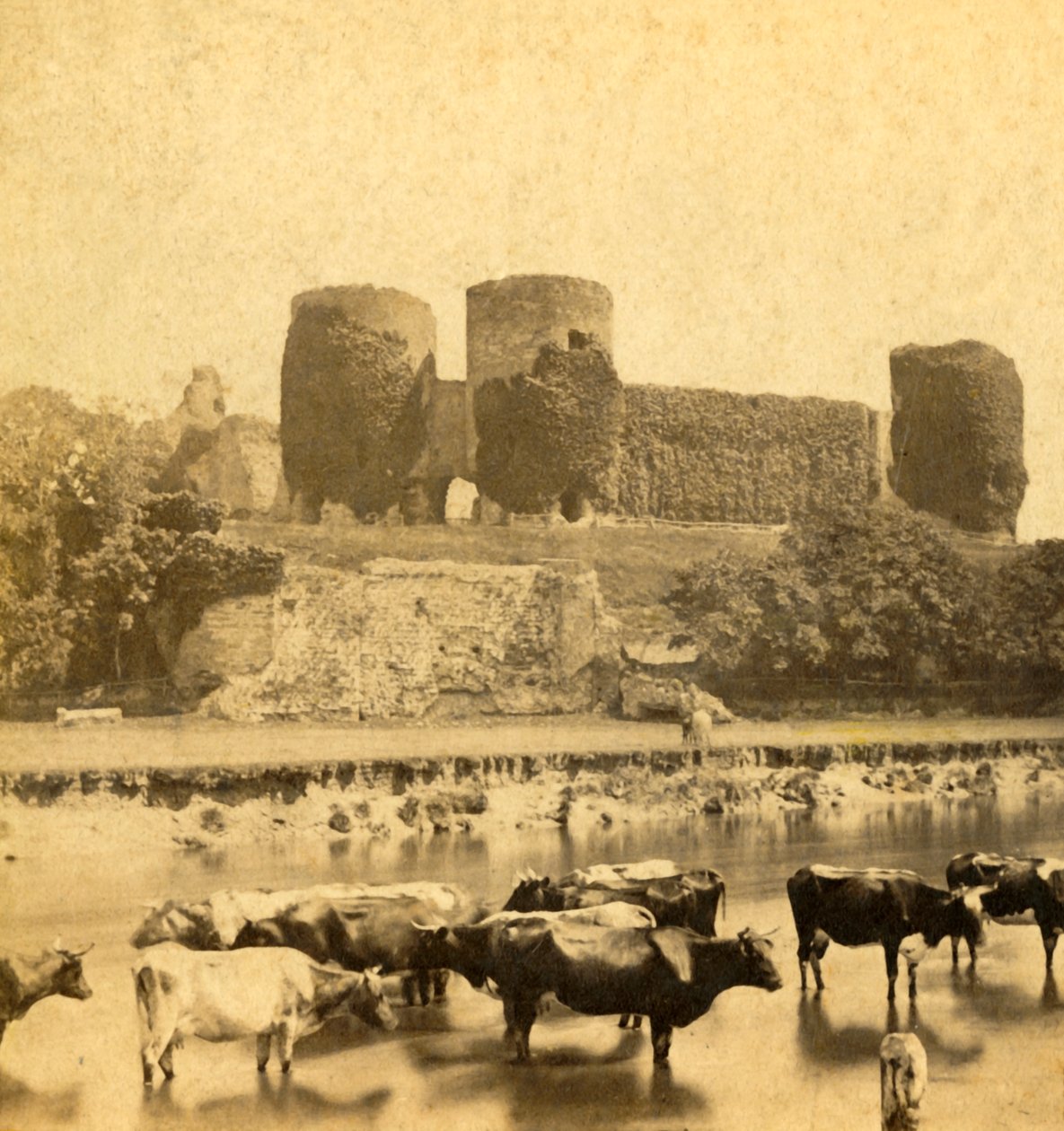Castello di Rhuddlan dal fiume, c1900 da Unbekannt