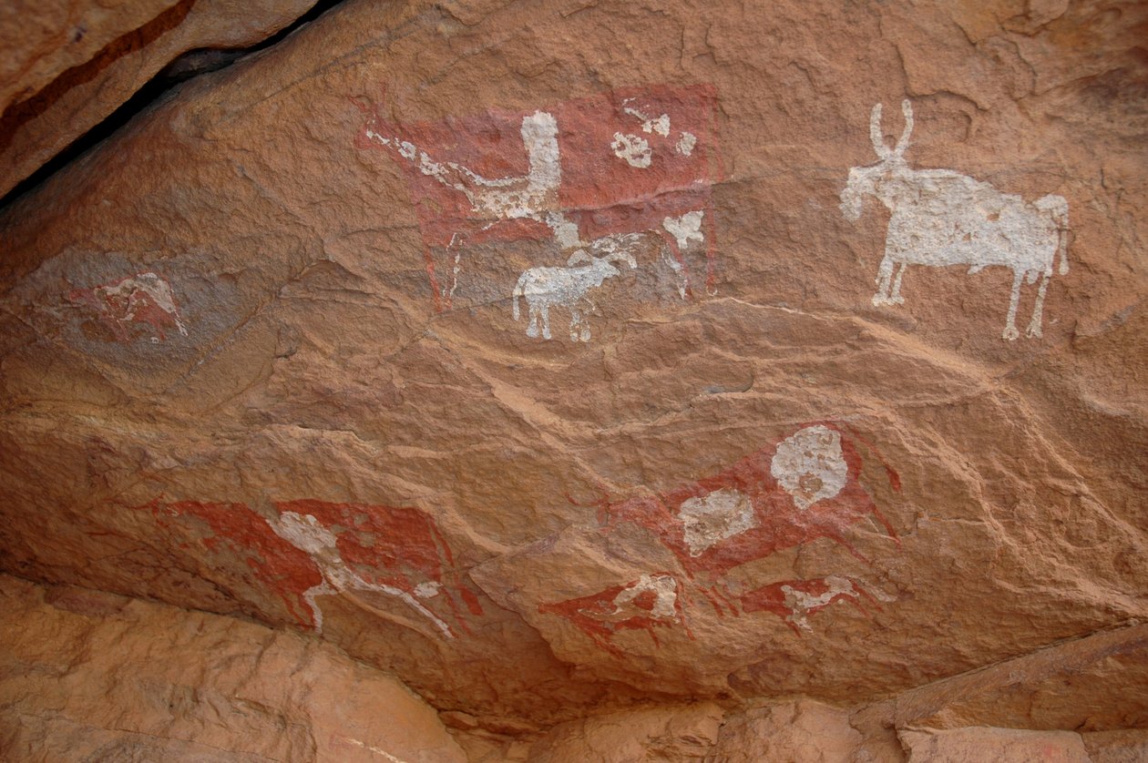 Arte rupestre, Preistoria: Pittura rupestre di un gruppo di bovini e pecore in un rifugio ornato, nel massiccio di Uweinat, Sudan da Unbekannt