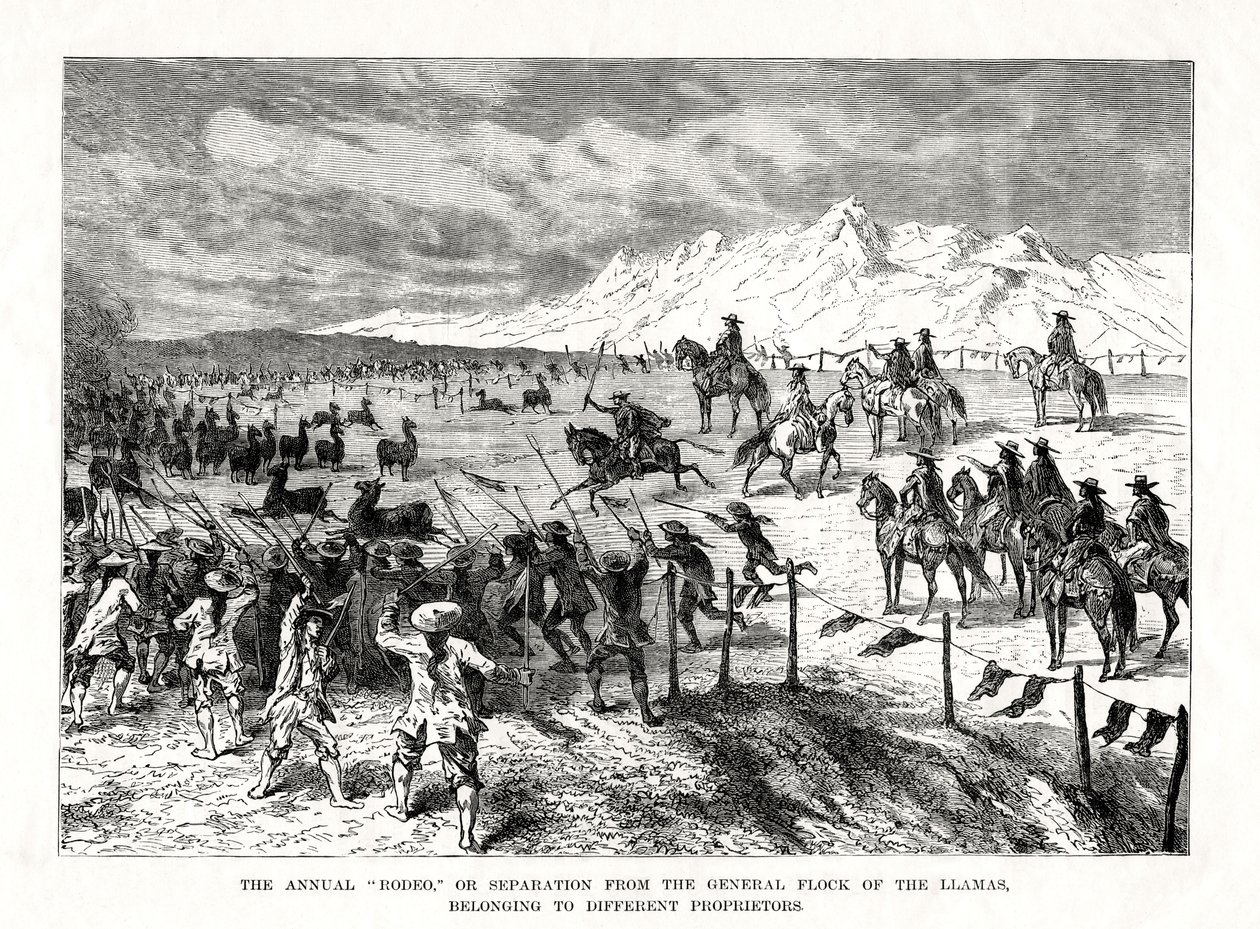 Rodeo, Sud America, 1877 da Unbekannt