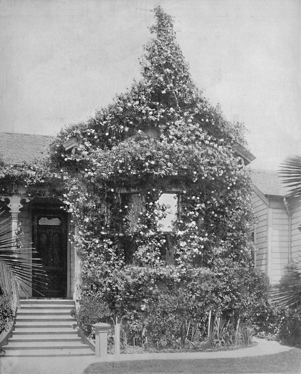 Rose Cottage, South Spring Street, Los Angeles, California da Unbekannt