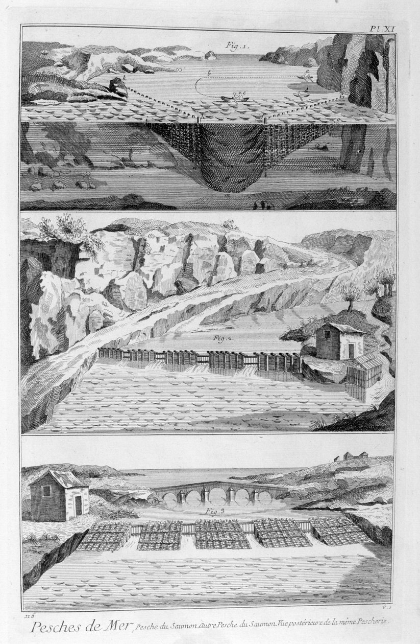 Pesca al Salmone, 1751-1777 da Unbekannt
