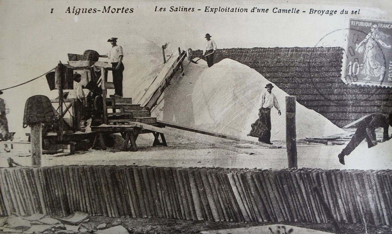 Saline, Camargue, Aigues-Mortes, Provenza, Francia (foto in b/n) da Unbekannt