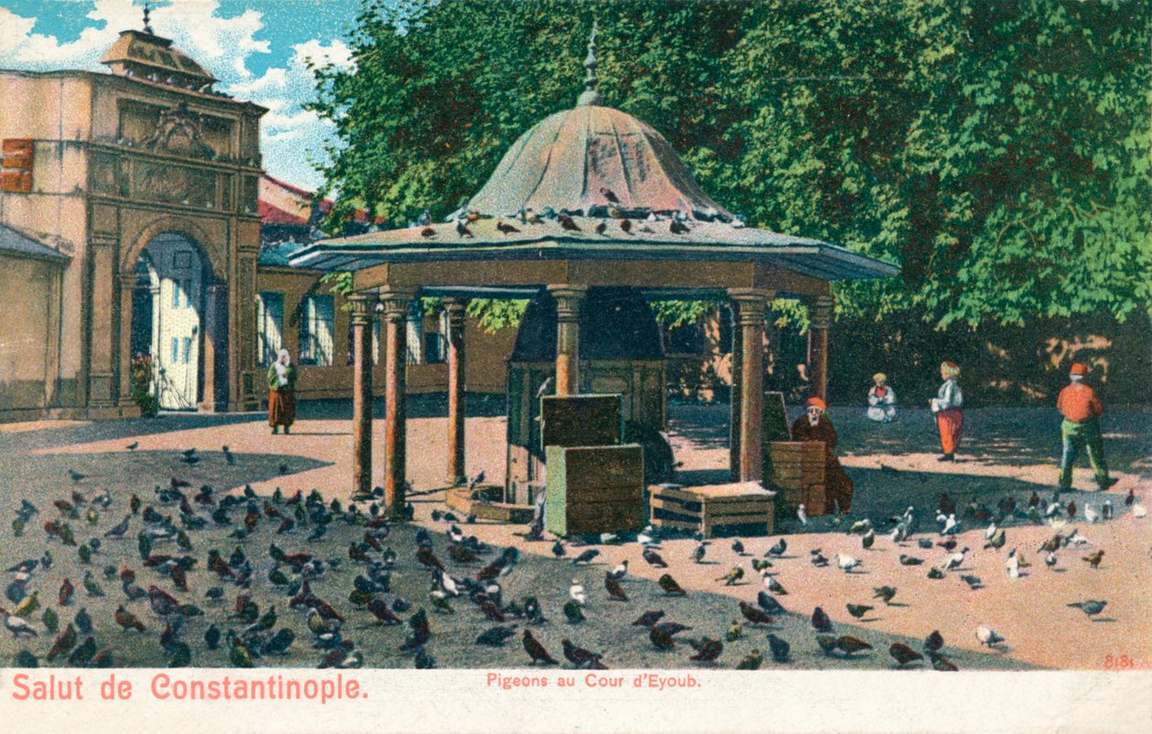 Salut de Constantinople - Piccioni al cortile di Eyoub, c1900 da Unbekannt