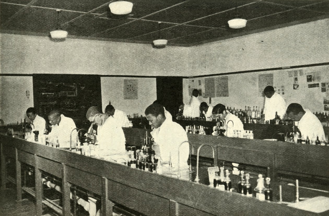 Scene in un college nativo - Studenti di batteriologia al Fort Hare Native College ad Alice da Unbekannt