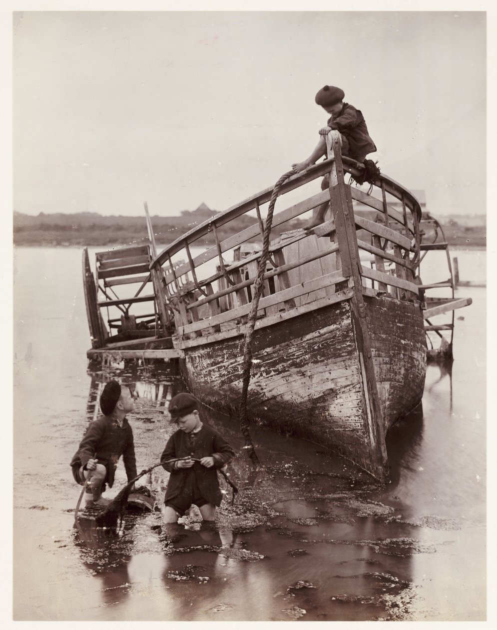 Ricci di mare da Unbekannt