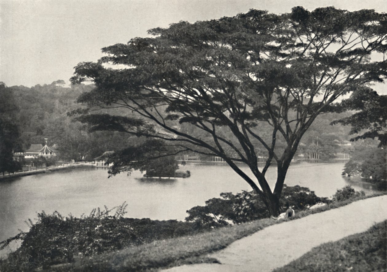 Tempio del Sacro Dente e Biblioteca a Kandy, visto dal Victoria Drive da Unbekannt