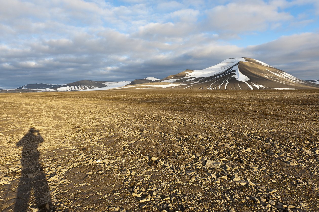 Ombra di un umano, suolo strutturale poligonale sul Plataberget, picco innevato Nordenskjoeldfjellet sullo sfondo, vicino a Longyearbyen, Spitsbergen, Svalbard, Norvegia, Europa da Unbekannt