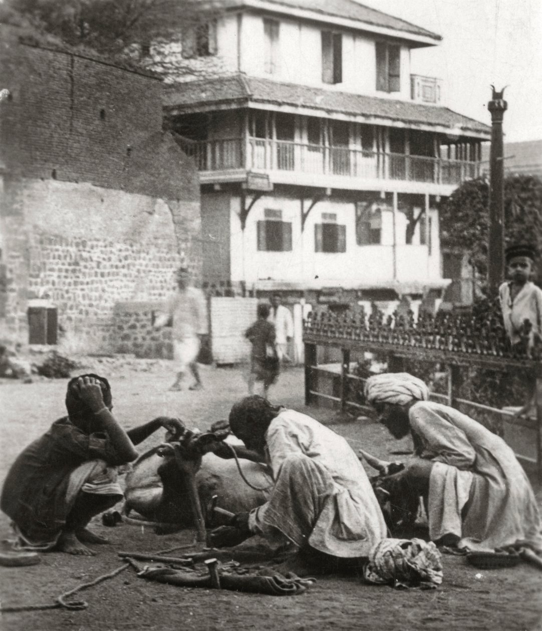 Ferriatura di un bue, India da Unbekannt