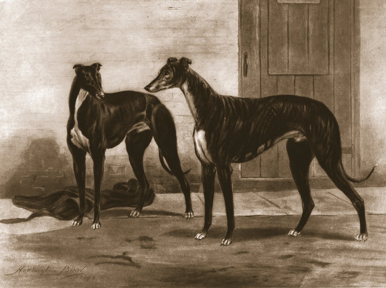Simonian e Fullerton, c. 1891, 1911 da Unbekannt