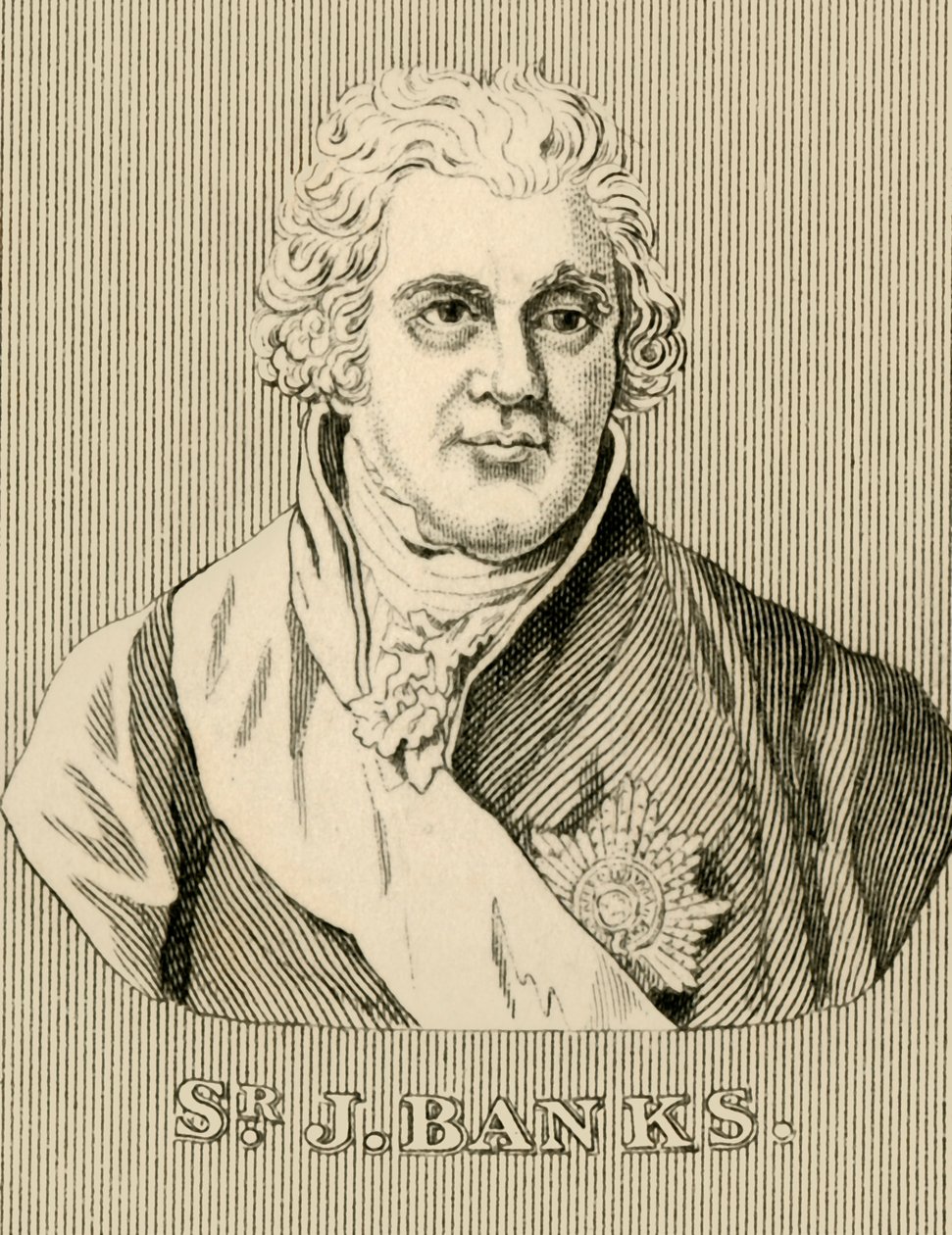 Sir J. Banks da Unbekannt