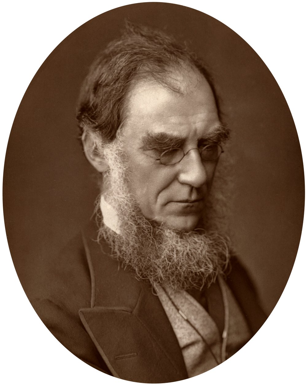 Sir Joseph Dalton Hooker, Direttore dei Giardini Reali di Kew, 1881 da Unbekannt