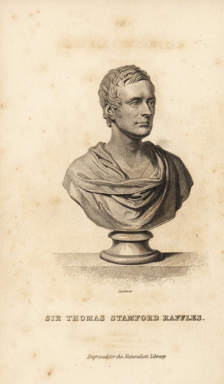 Sir Thomas Stanford Raffles, statista britannico, scrittore e naturalista da Unbekannt