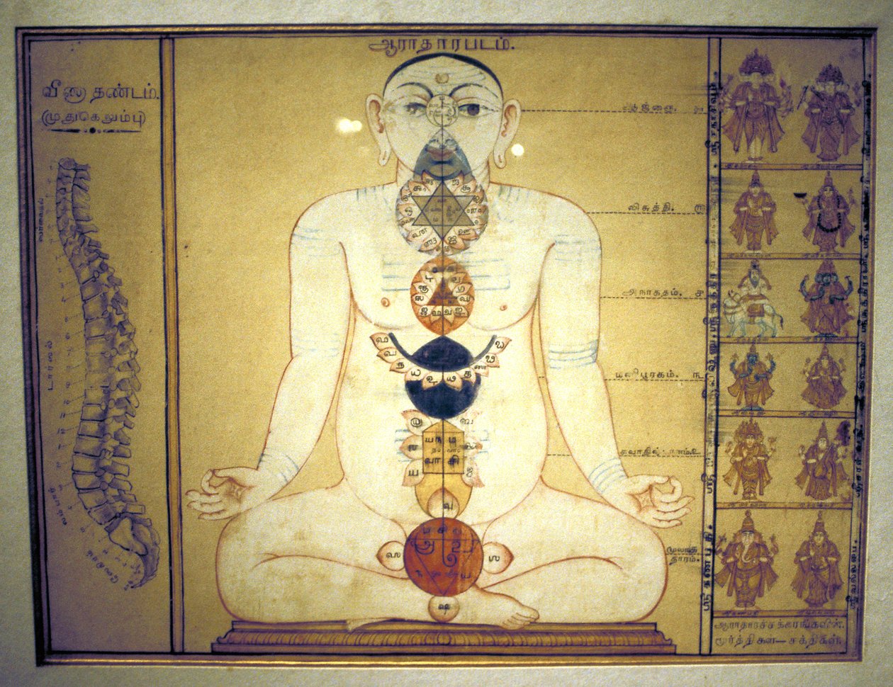 Sei chakra che rappresentano i plessi del corpo umano, Tanjore, Tamil Nadu, c1850 da Unbekannt