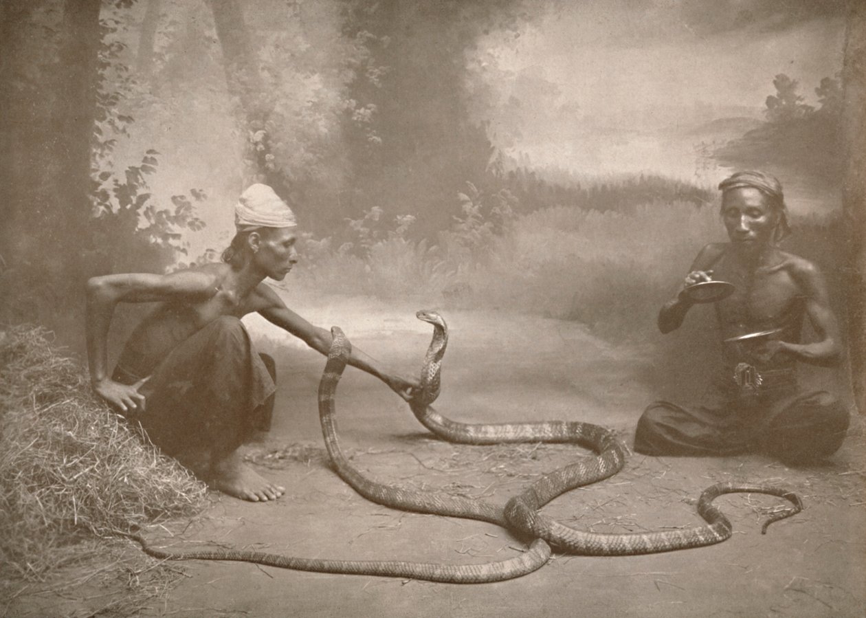 Incantatori di serpenti con cobra Hamadryads, 1900 da Unbekannt