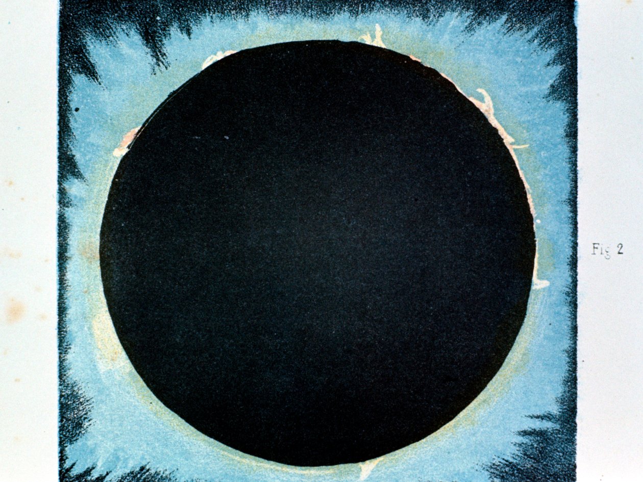 Corona solare e prominenze 1860 1870 da Unbekannt