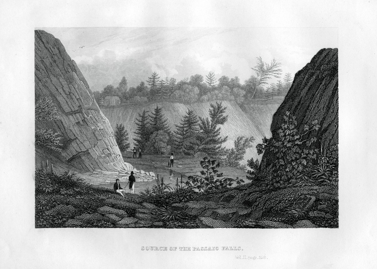 Sorgente delle cascate del Passaic, New Jersey da Unbekannt