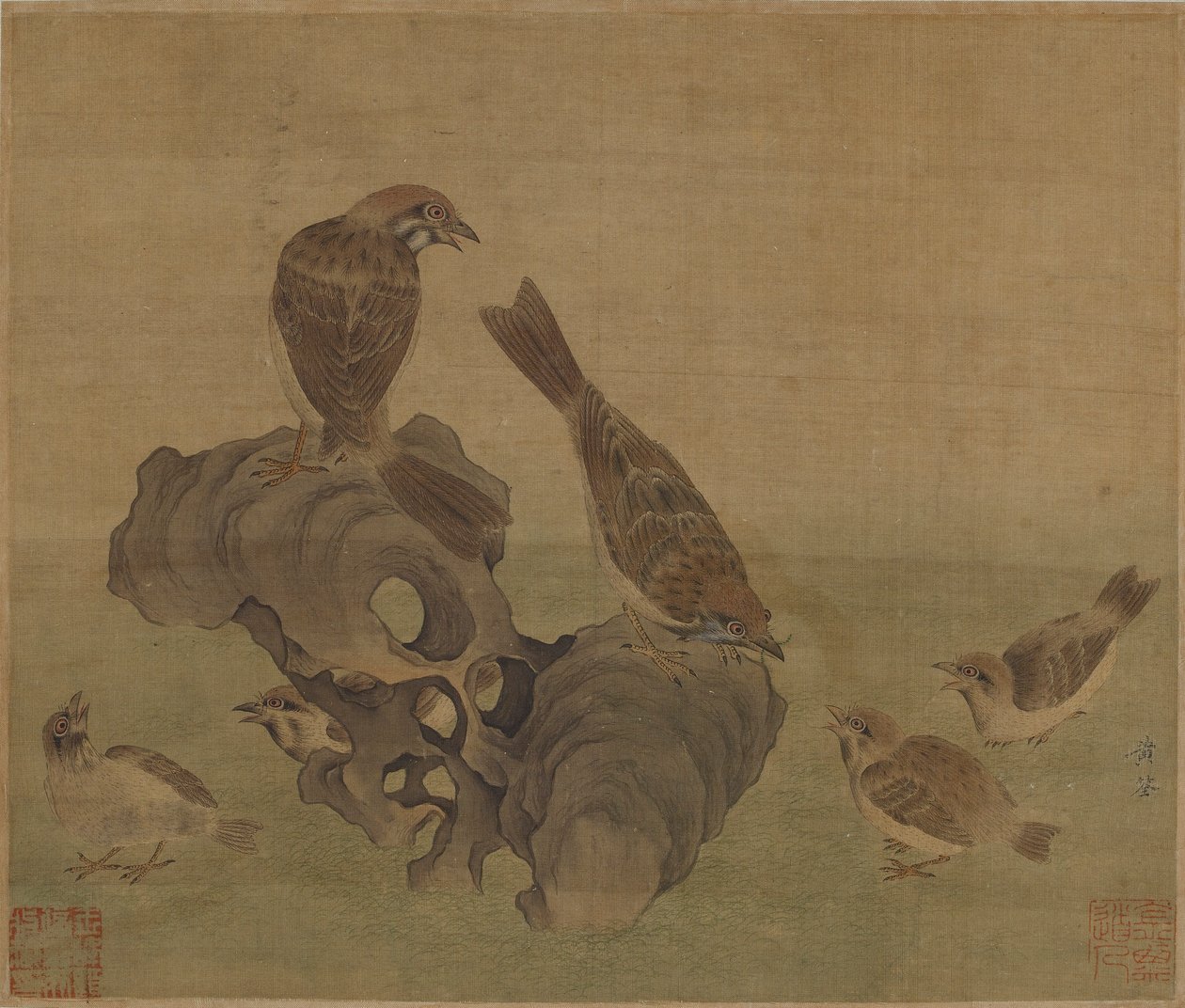 Passeri che nutrono i loro piccoli, dinastia Ming o Qing, XVII secolo da Unbekannt