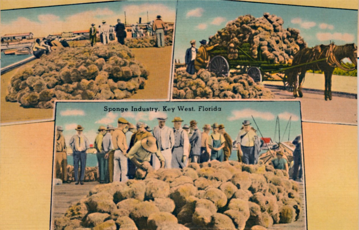 Industria delle spugne, Key West, Florida, c. 1940 da Unbekannt
