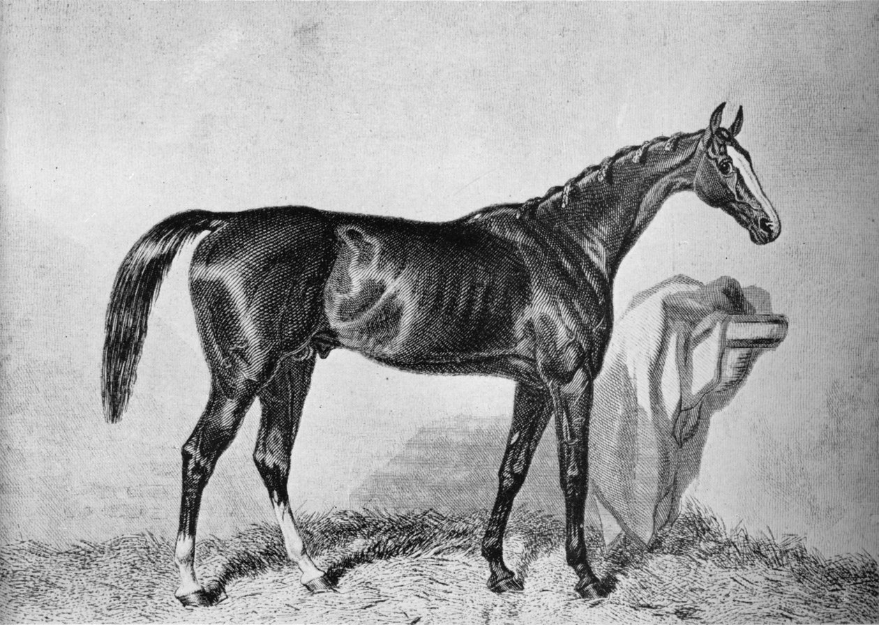St. Albans, XIX secolo, 1911 da Unbekannt