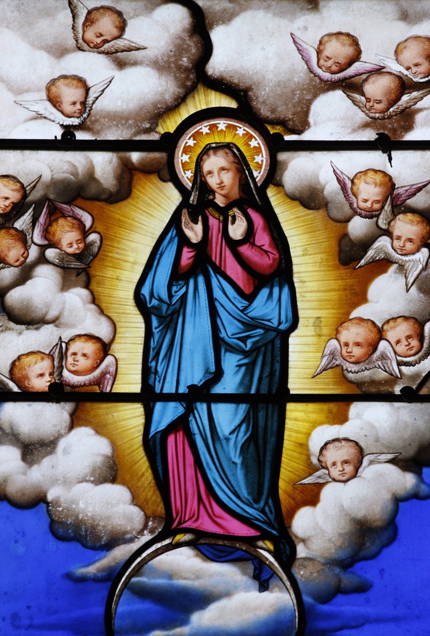 Vetrata nella cattedrale di Saint-Louis: Vergine Maria, Blois, Francia da Unbekannt