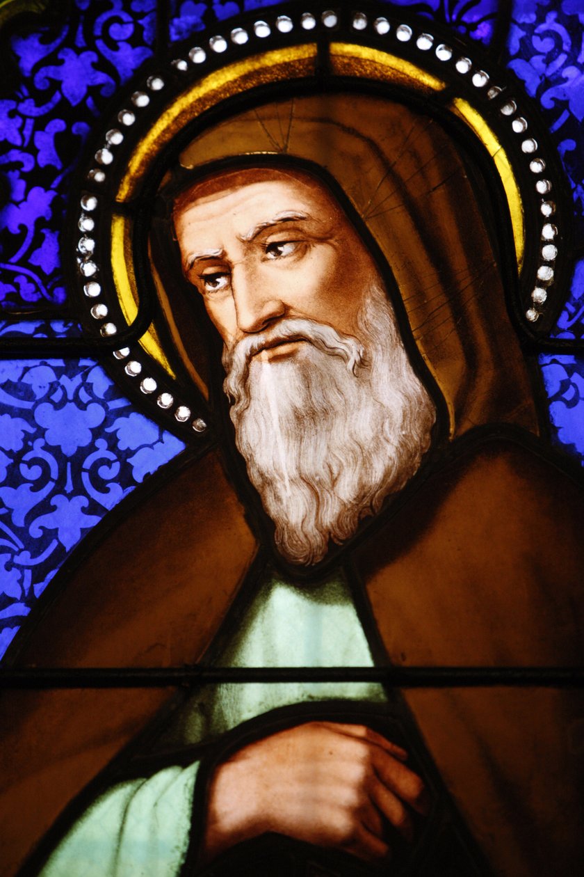 Vetrata nella chiesa di San Paolo, Lione: San Bonaventura, Lione, Francia da Unbekannt