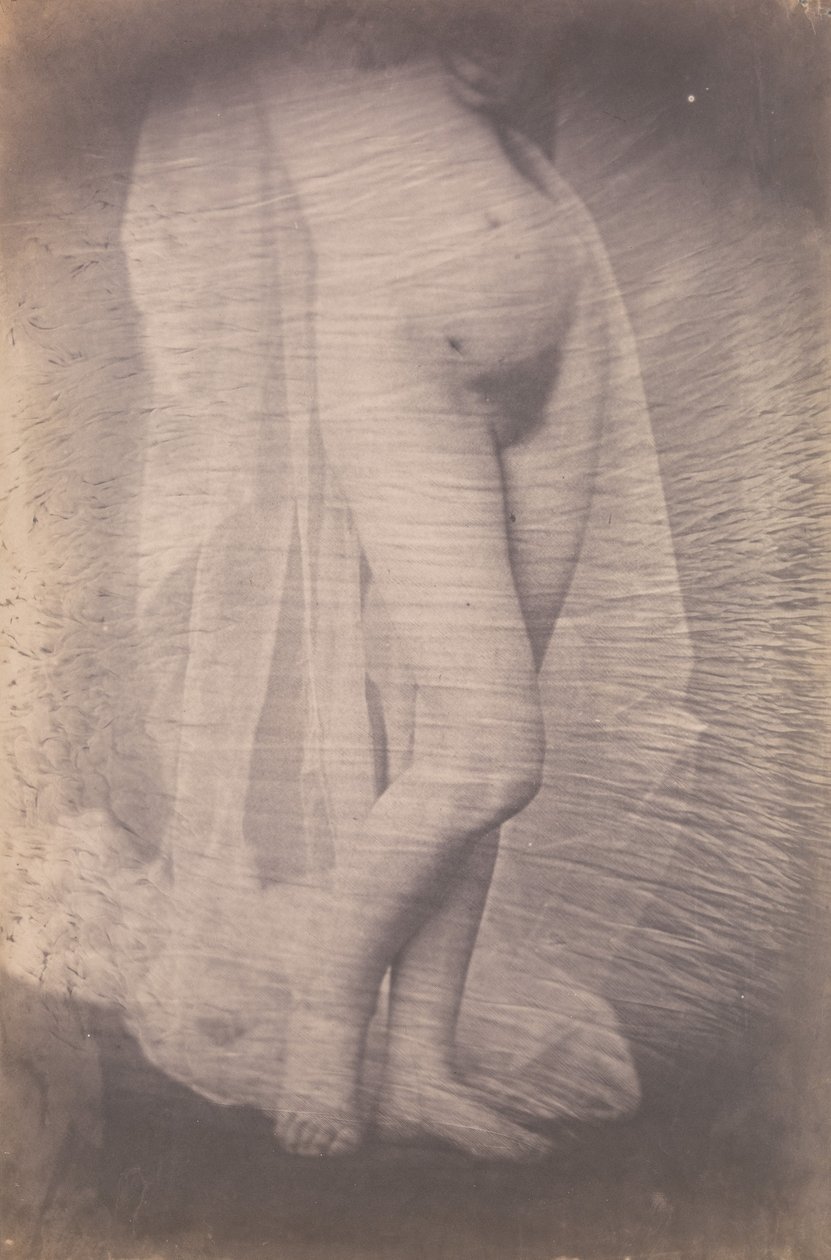 [Nudo femminile in piedi], ca. 1856 da Unbekannt