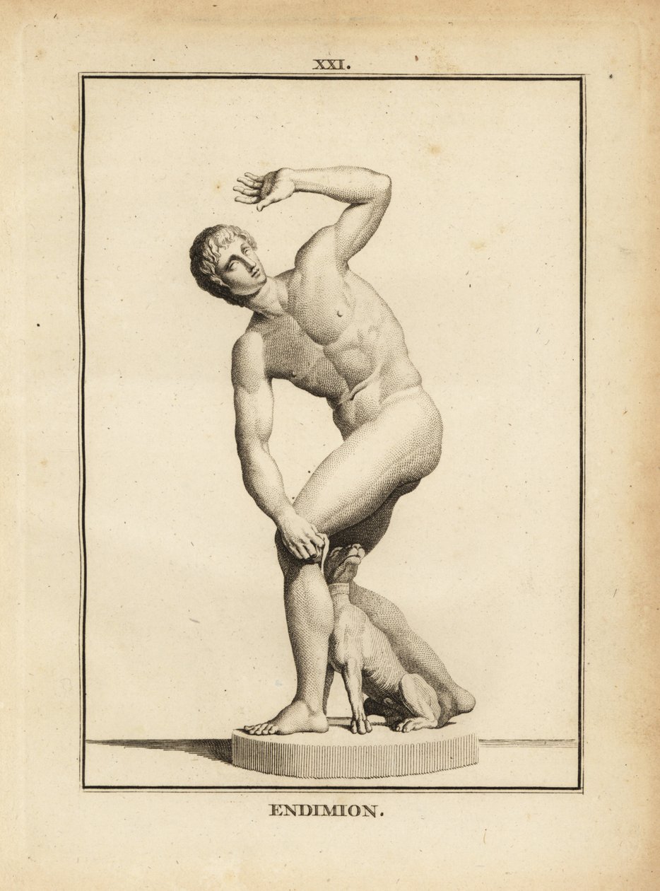 Statua di Endimione, pastore greco da Unbekannt