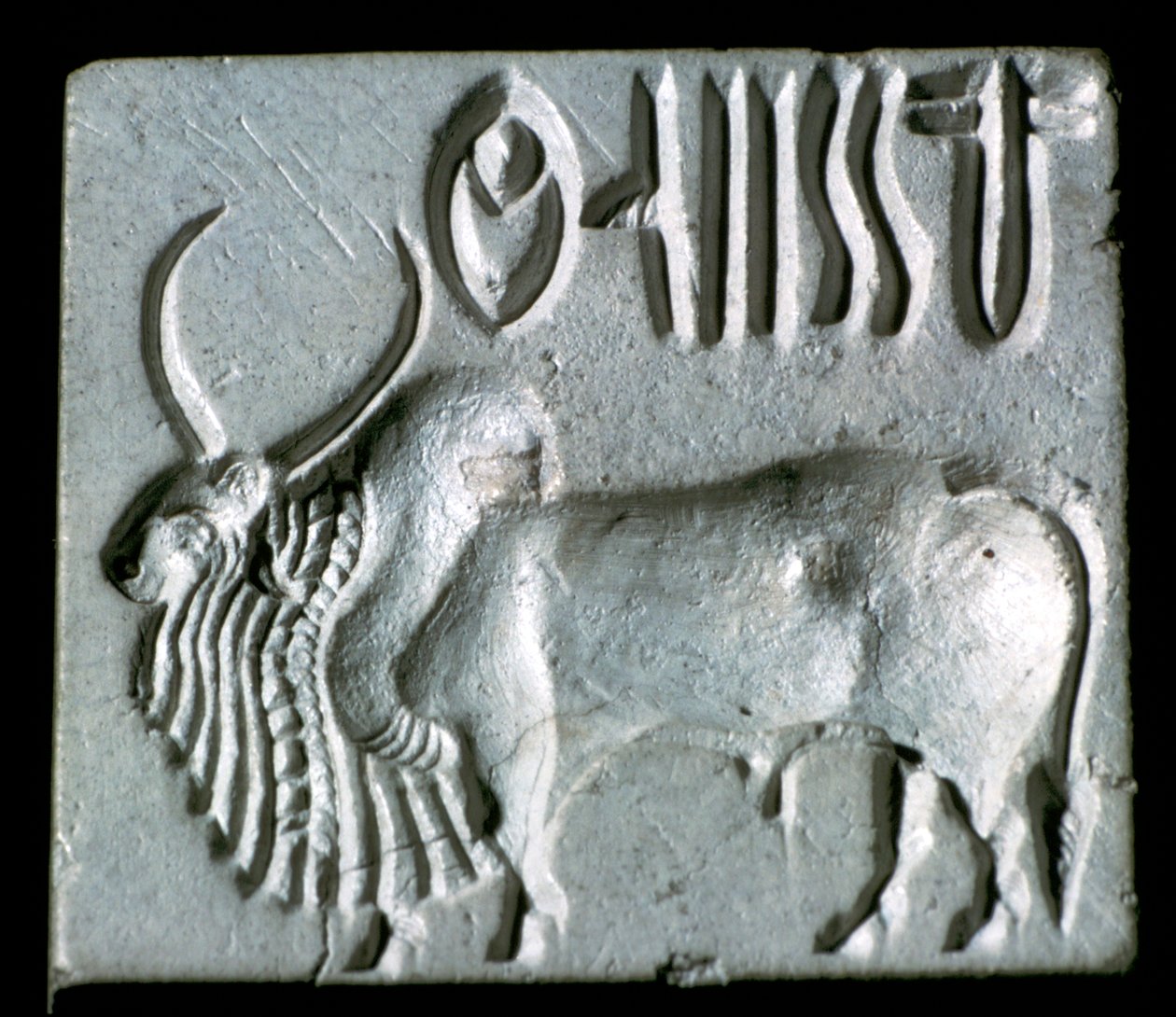 Sigillo di steatite con toro gobbo, Valle dell