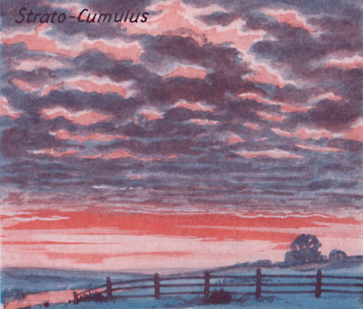 Strato-Cumulo - Una dozzina delle principali forme di nuvole nel cielo, 1935 da Unbekannt