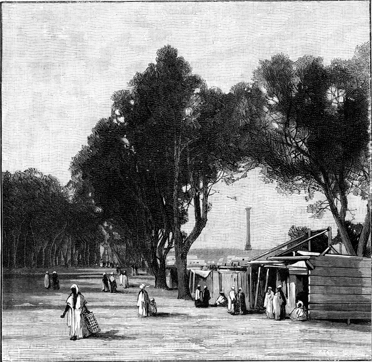 Scena di strada con la Colonna di Pompeo in lontananza, Alessandria, Egitto, 1900 da Unbekannt