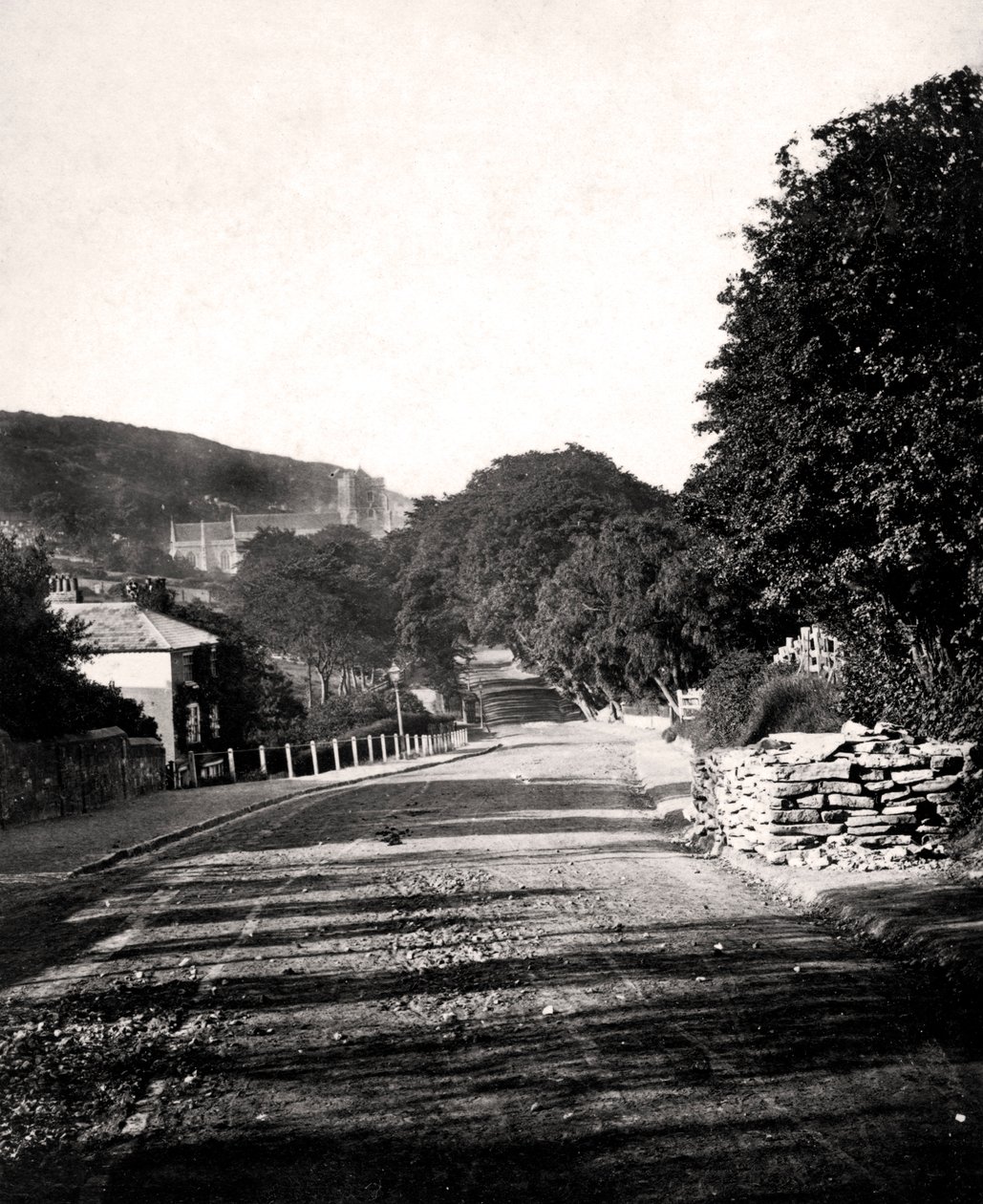 Strada attraverso una valle a Hastings, Sussex, inizio XX secolo da Unbekannt