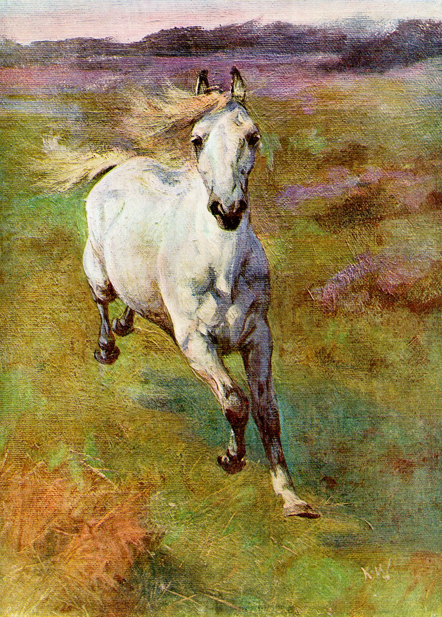 Studio dal vivo per la caccia al puledro nella New Forest, 1899 da Unbekannt