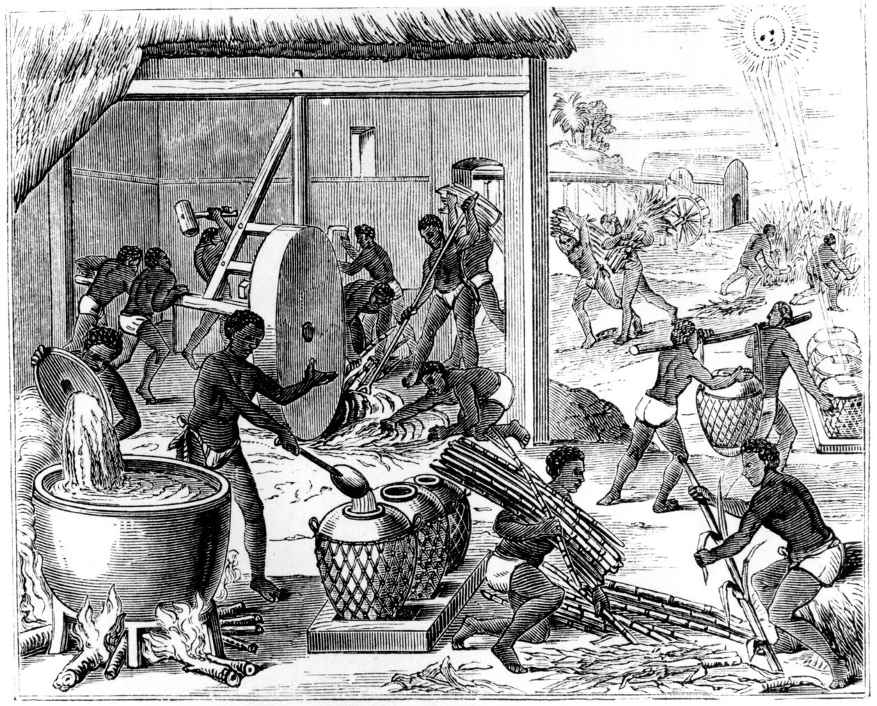 Produzione di zucchero, 1873 da Unbekannt