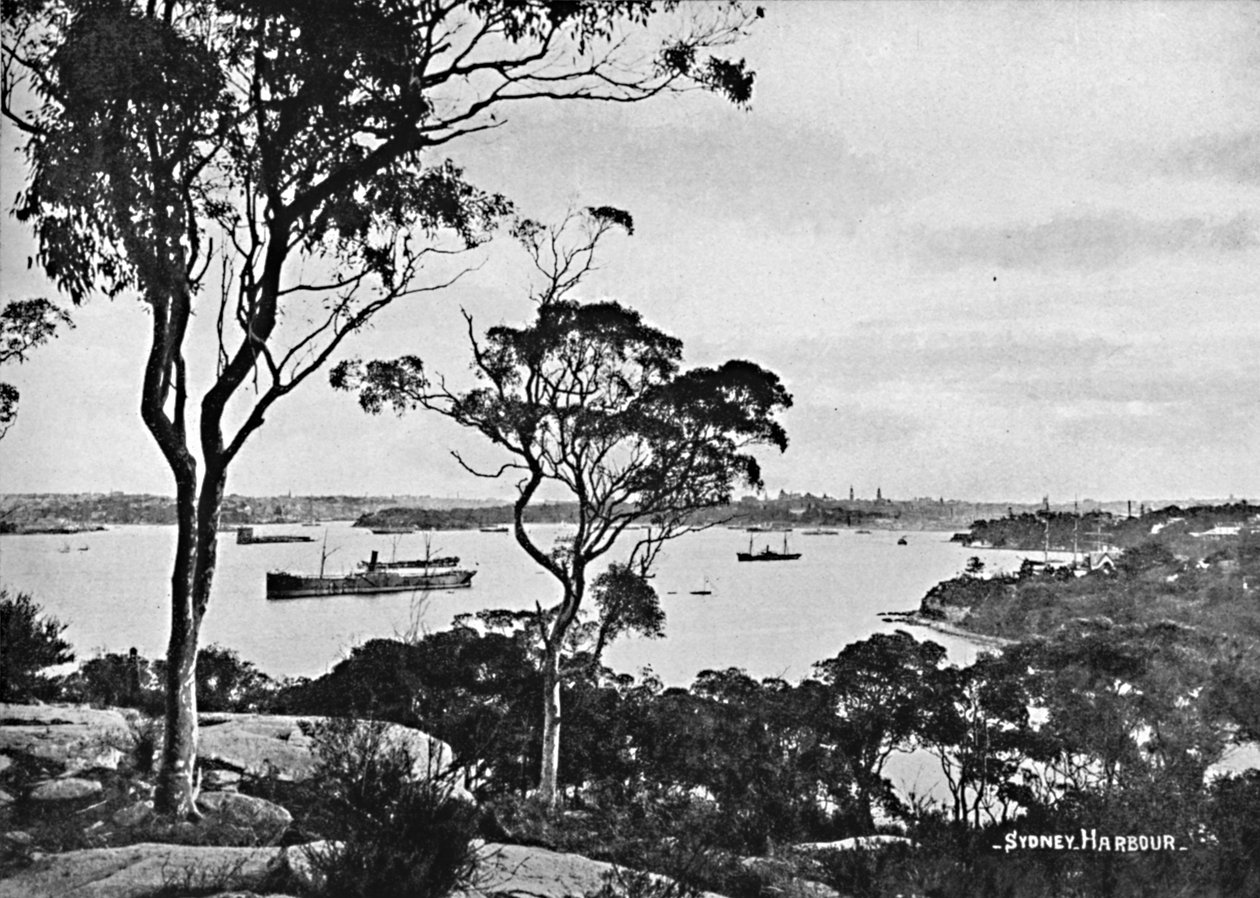 Porto di Sydney, da Cremorne Point, c1900 da Unbekannt
