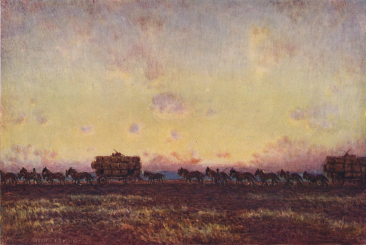 Portare la lana al mercato, 1923 da Unbekannt