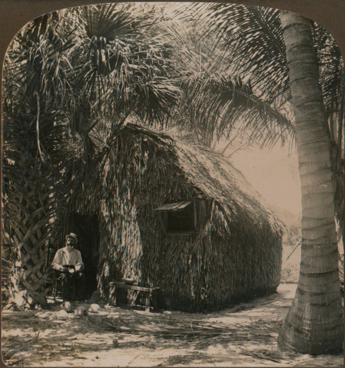 Cottage con tetto di paglia a Cocoanut Grove, Florida, USA, c. 1900 da Unbekannt