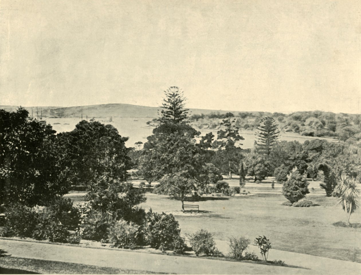 I Giardini Botanici di Sydney da Unbekannt